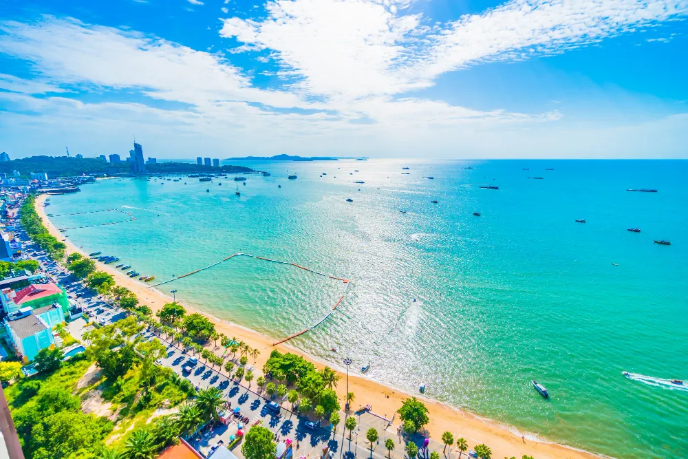 local seo service for business in Pattaya beach 11zon